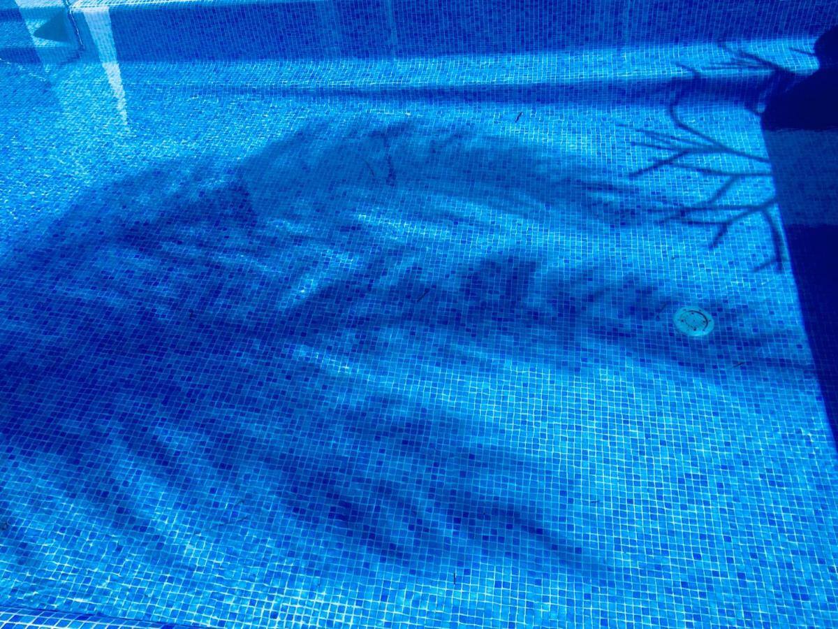 Abrigo Da Madeira Villa อาร์โกดากาเลียตา ภายนอก รูปภาพ